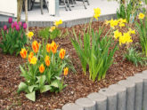 Vintage Highlights zum Frühling